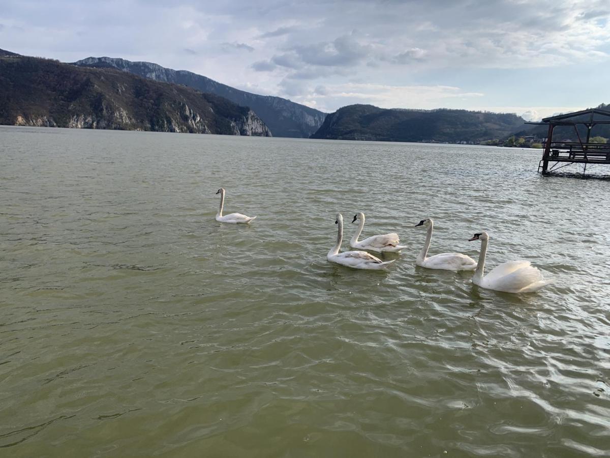Casa Ana Serena Ieşelniţa Buitenkant foto